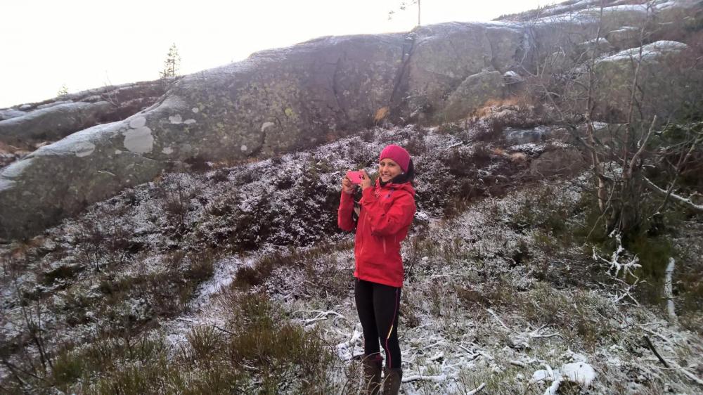 WP_20151114_13_41_54_Pro.thumb.jpg.22c20