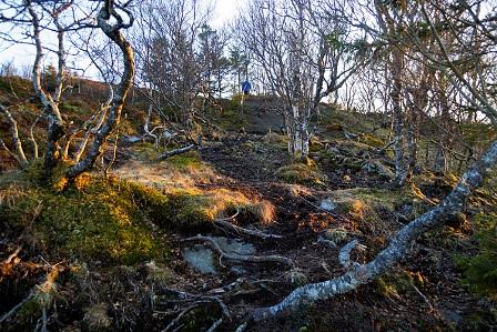 gaasheia5.jpg.d98ba7d41d911c6f59b868e2de