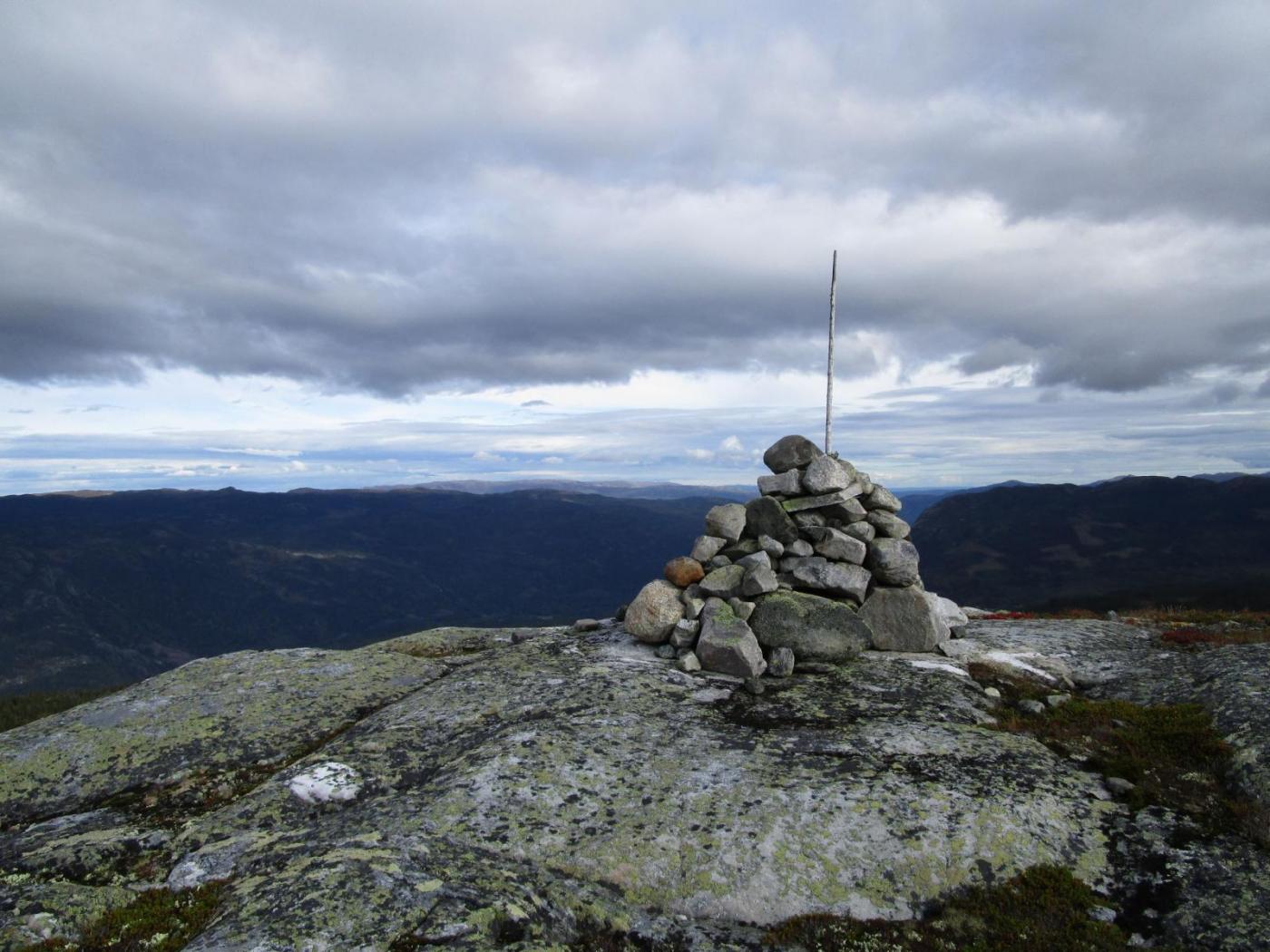 02.thumb.jpg.95569352a46d23849ec3ea5e323