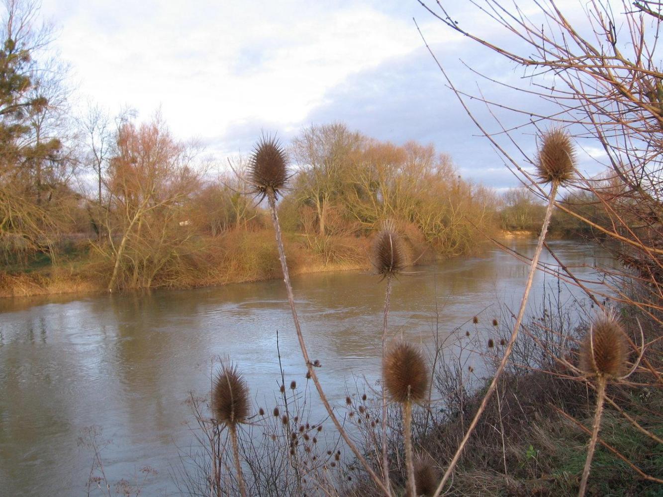 07-01-24_16h13_119_r.thumb.jpg.16c6e1a1a