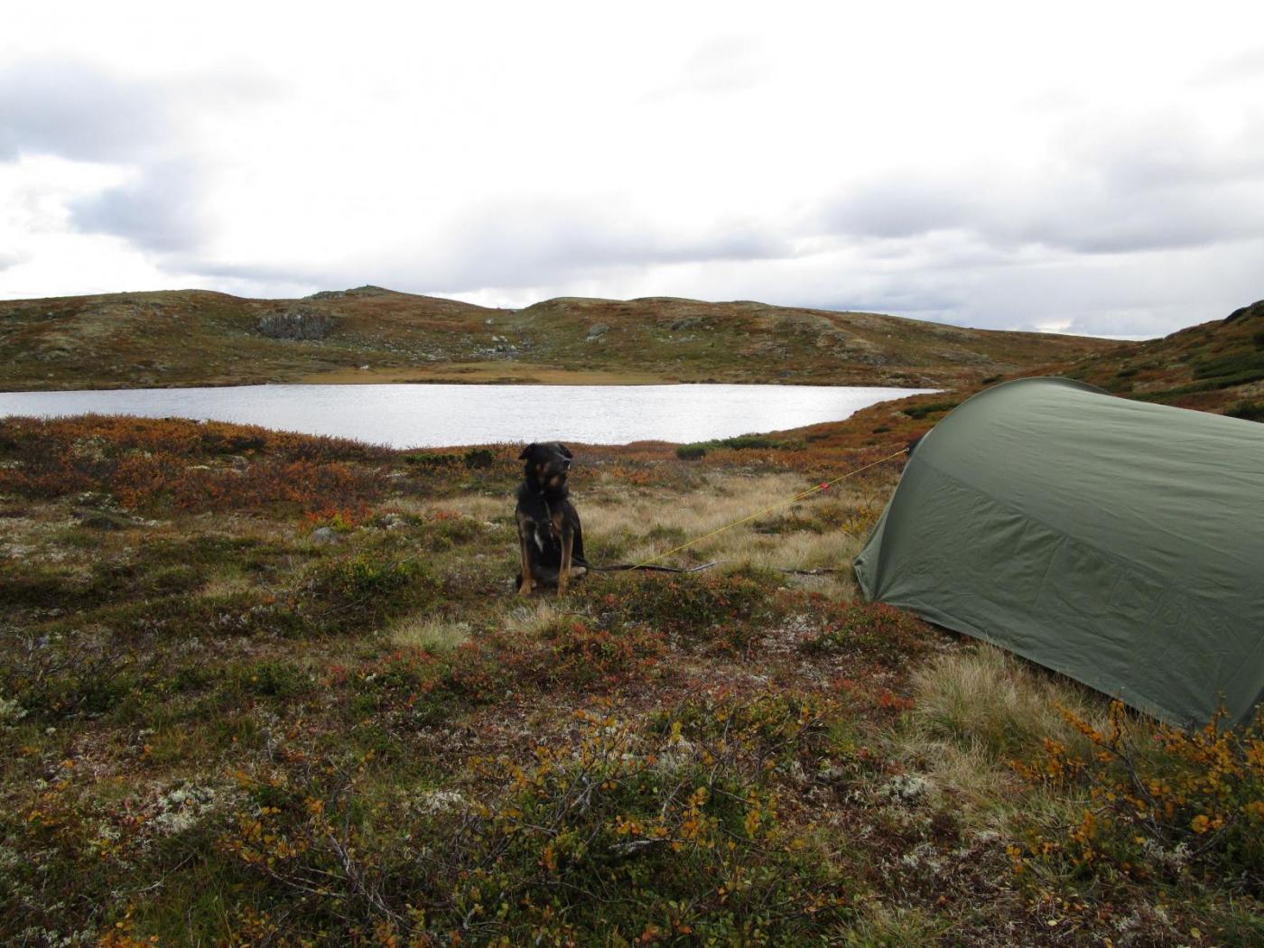 08.thumb.jpg.27a7f149b28a3cf71e69e3c8aee