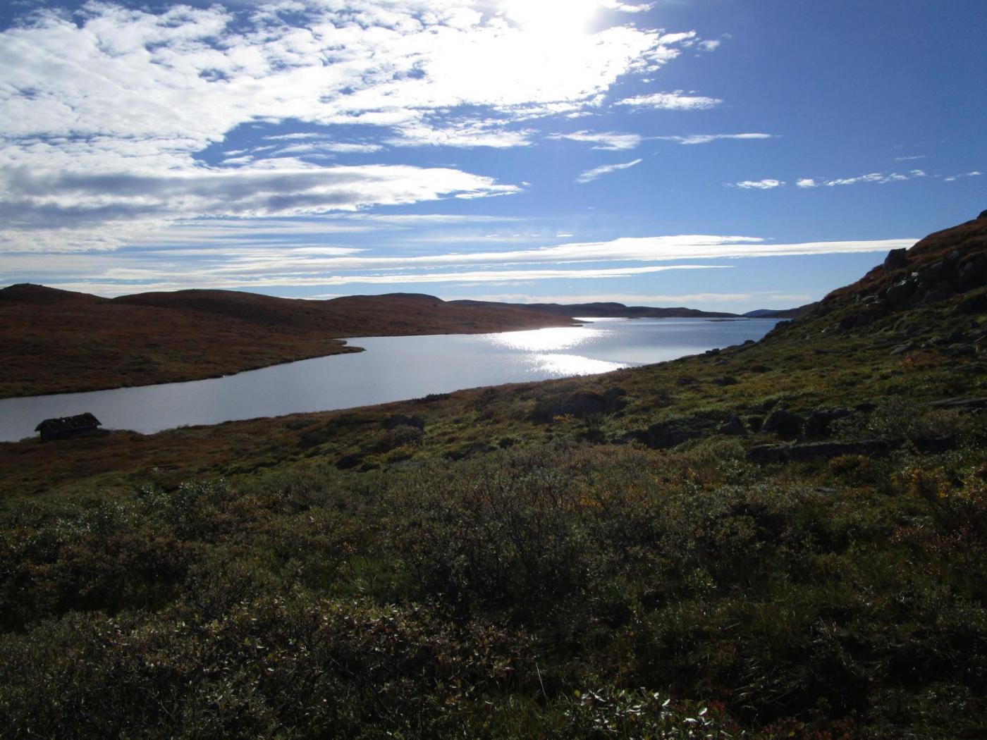 12.thumb.jpg.ec6170fe7d8ad1e1dc8d4e5b52a