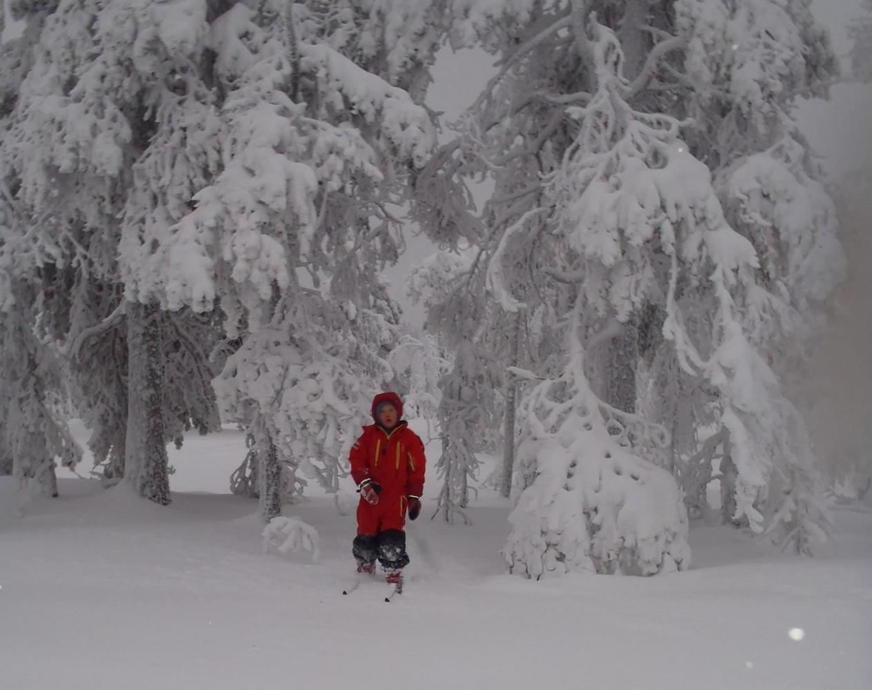 2012-12-23_00053.thumb.jpg.2289d57270548