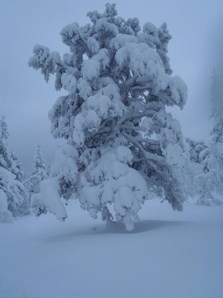 2012-12-23_00067.thumb.jpg.0e3c586b7f184