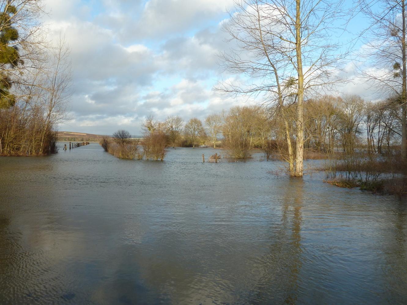 2012-12-27_15-26-02_crop.JPG.95711cedaac