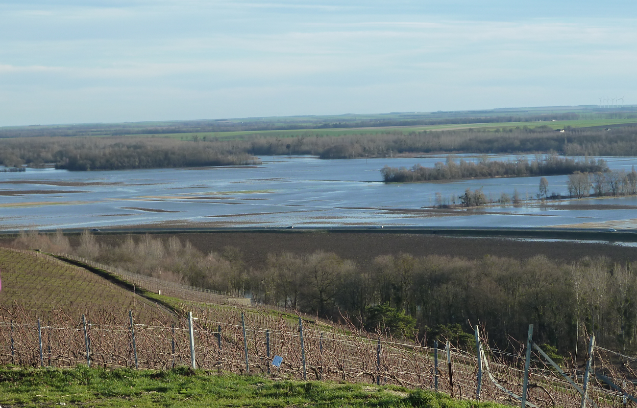 2012-12-29_14-53-47_crop.png.4df3ae8a47c