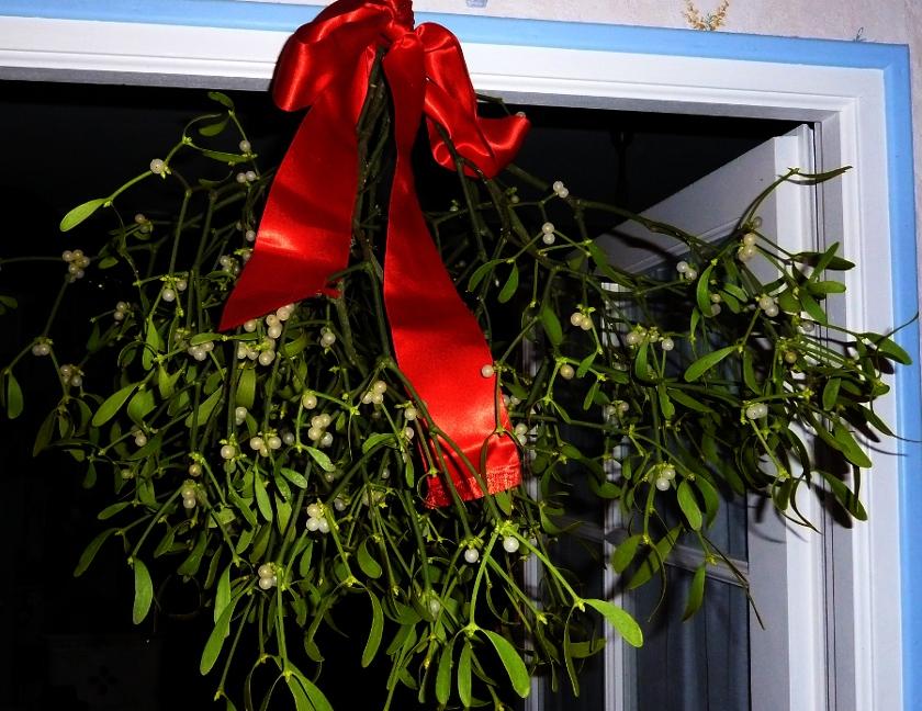 2014-01-01_08-41-56_gui.JPG.755c0e4be846