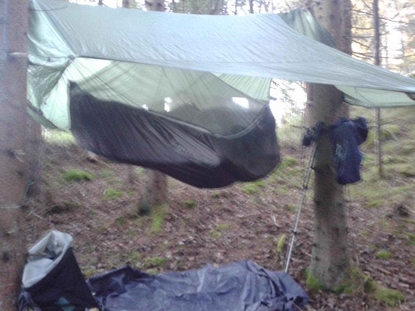 20151212_140933.thumb.jpg.ca9eb85a90d756