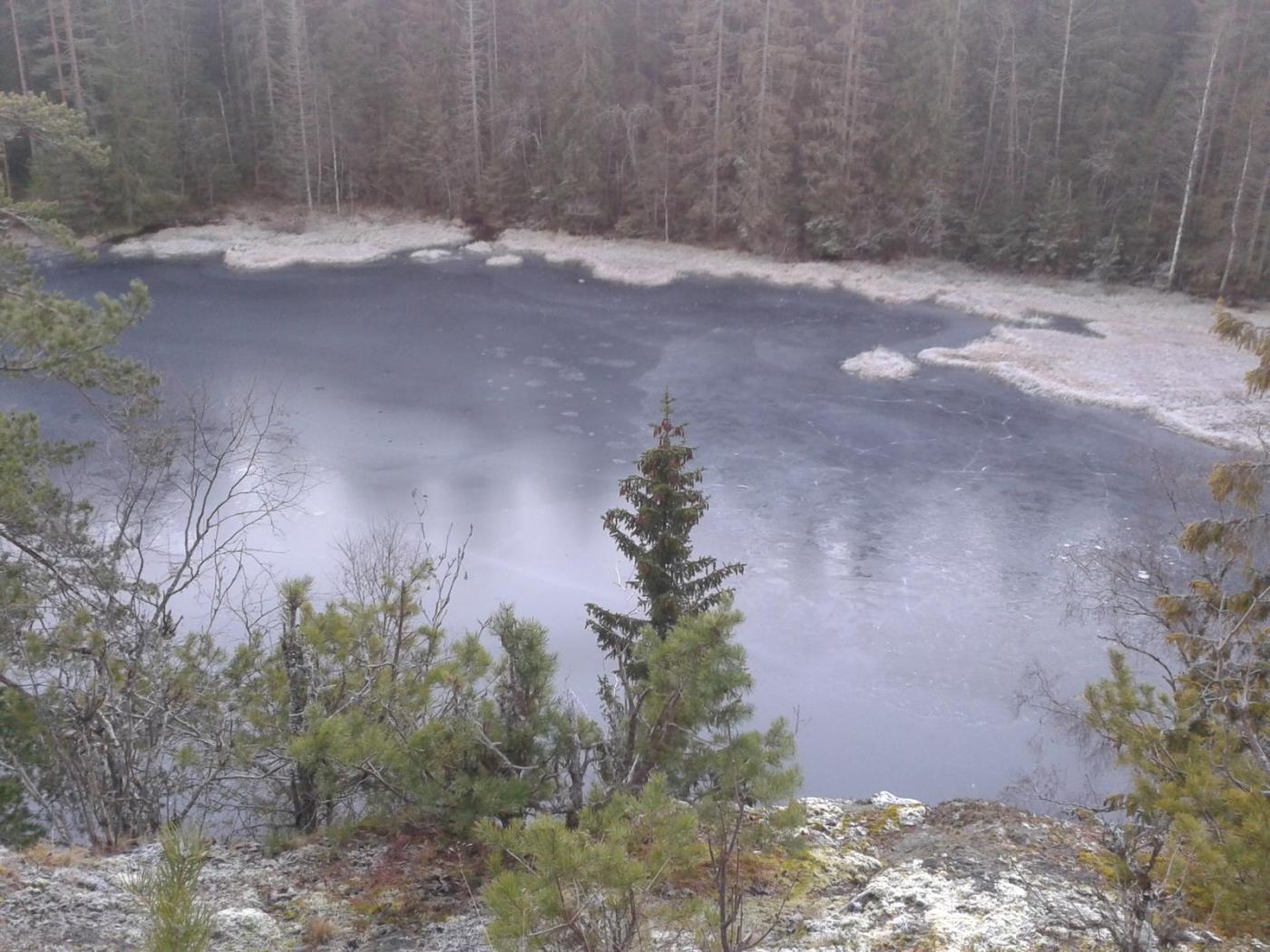 20151212_141644.thumb.jpg.c20704adc89c25