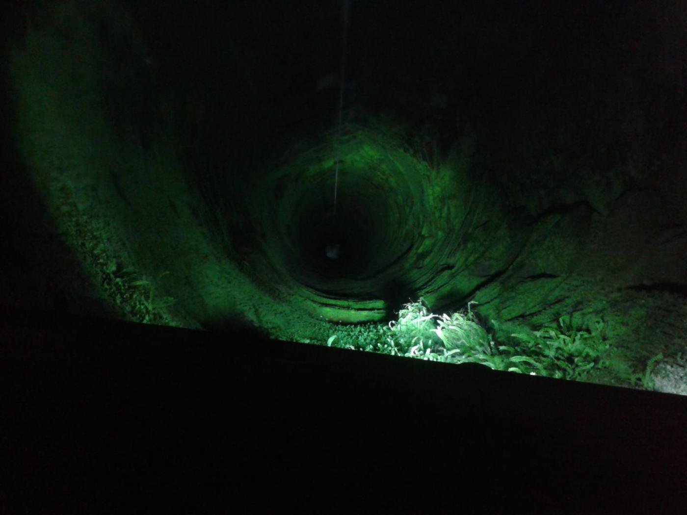 20151229_134310.thumb.jpg.ae36f57587434c