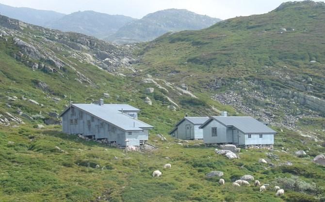 565cec28b4785_HeibergtunetStorevatn.jpg.