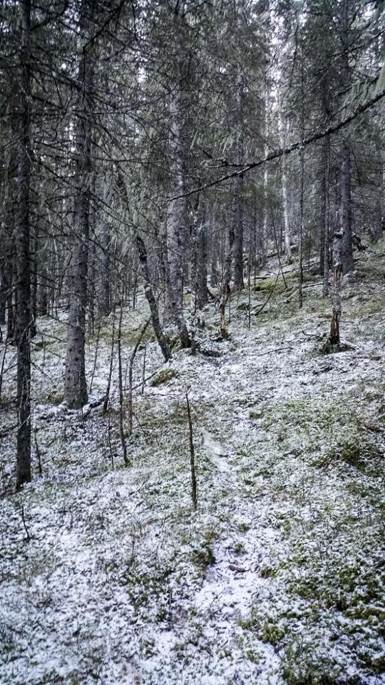 566d9bbf31025_2015-12-1312.38.47.thumb.j