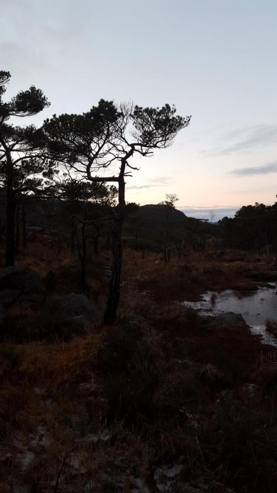 Vest for hatten, Forsand 20.jpg