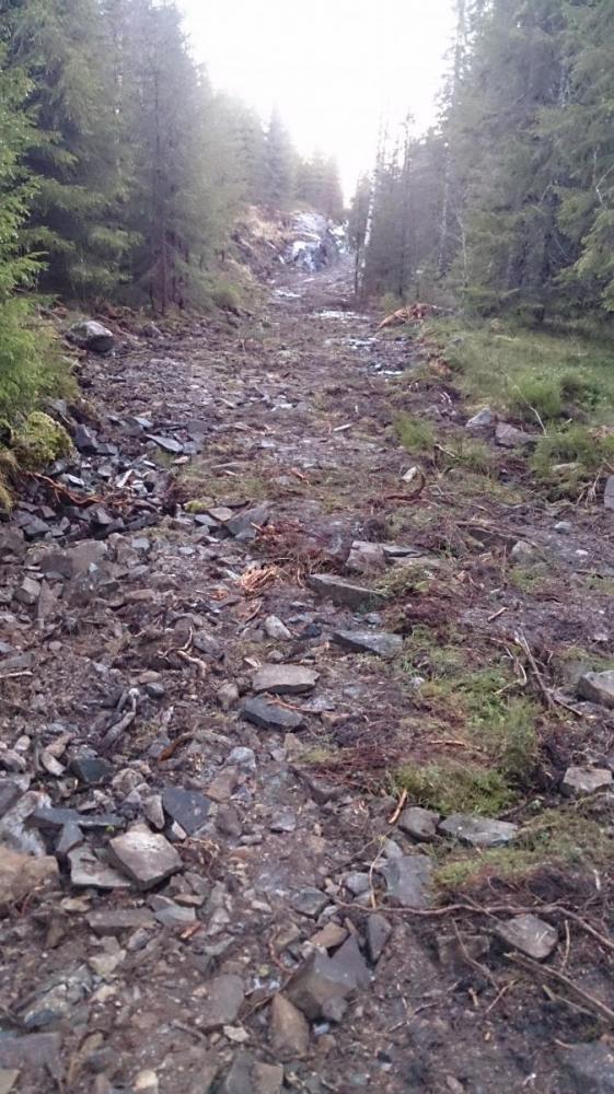 DSC_0046b.thumb.JPG.00cfc7e3971dd4f3a70b