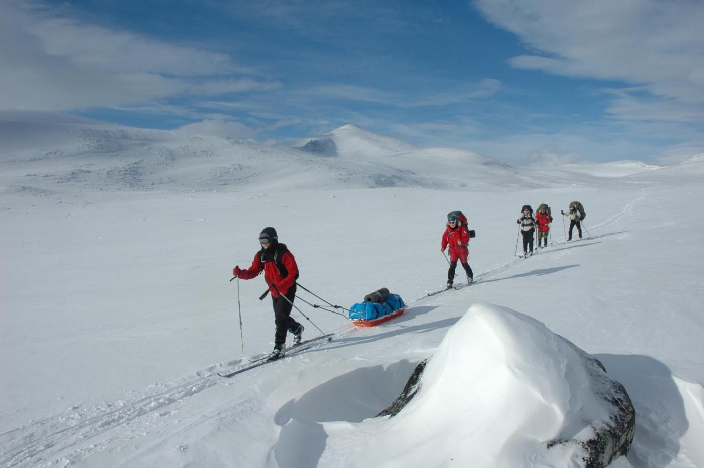 DSC_0695.thumb.JPG.e787b41380a4800ff4c42