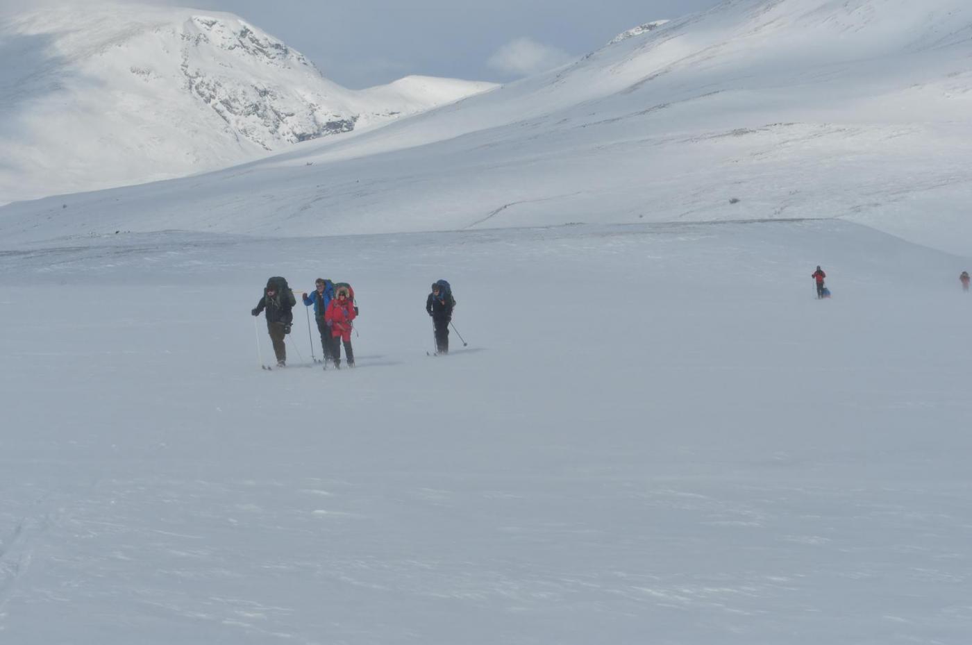 DSC_3815.thumb.JPG.625fdd01ae8cd56255398