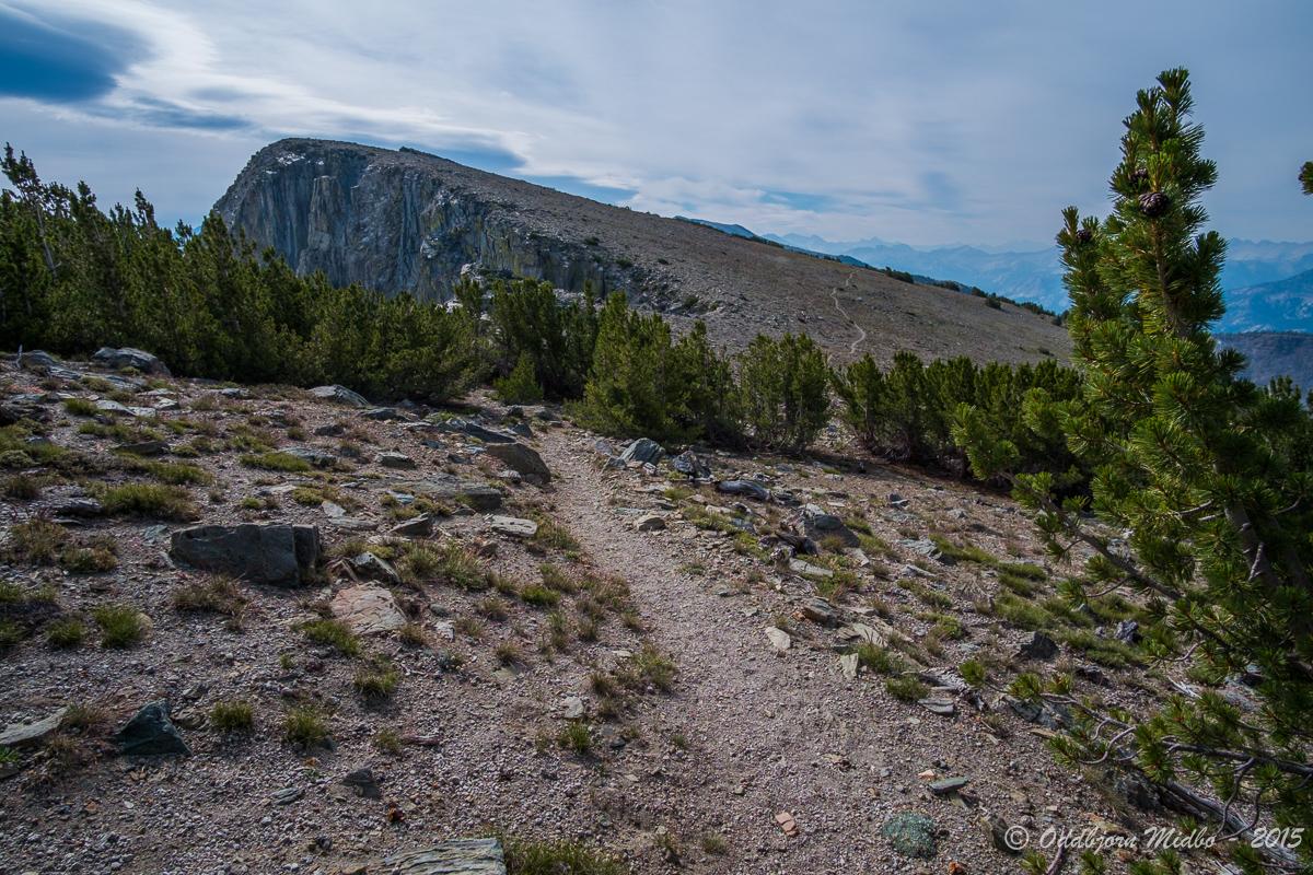 Dag10-5892.jpg.b32763dcbb846b7a375725a72