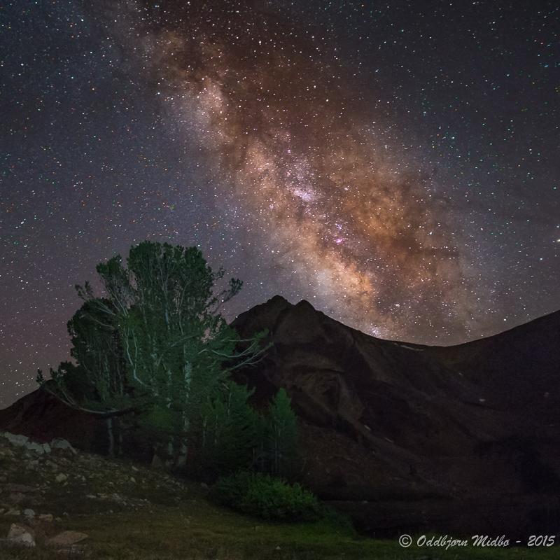 Dag11-.jpg.c14ae5e643b222735c9d5fb10f7c7