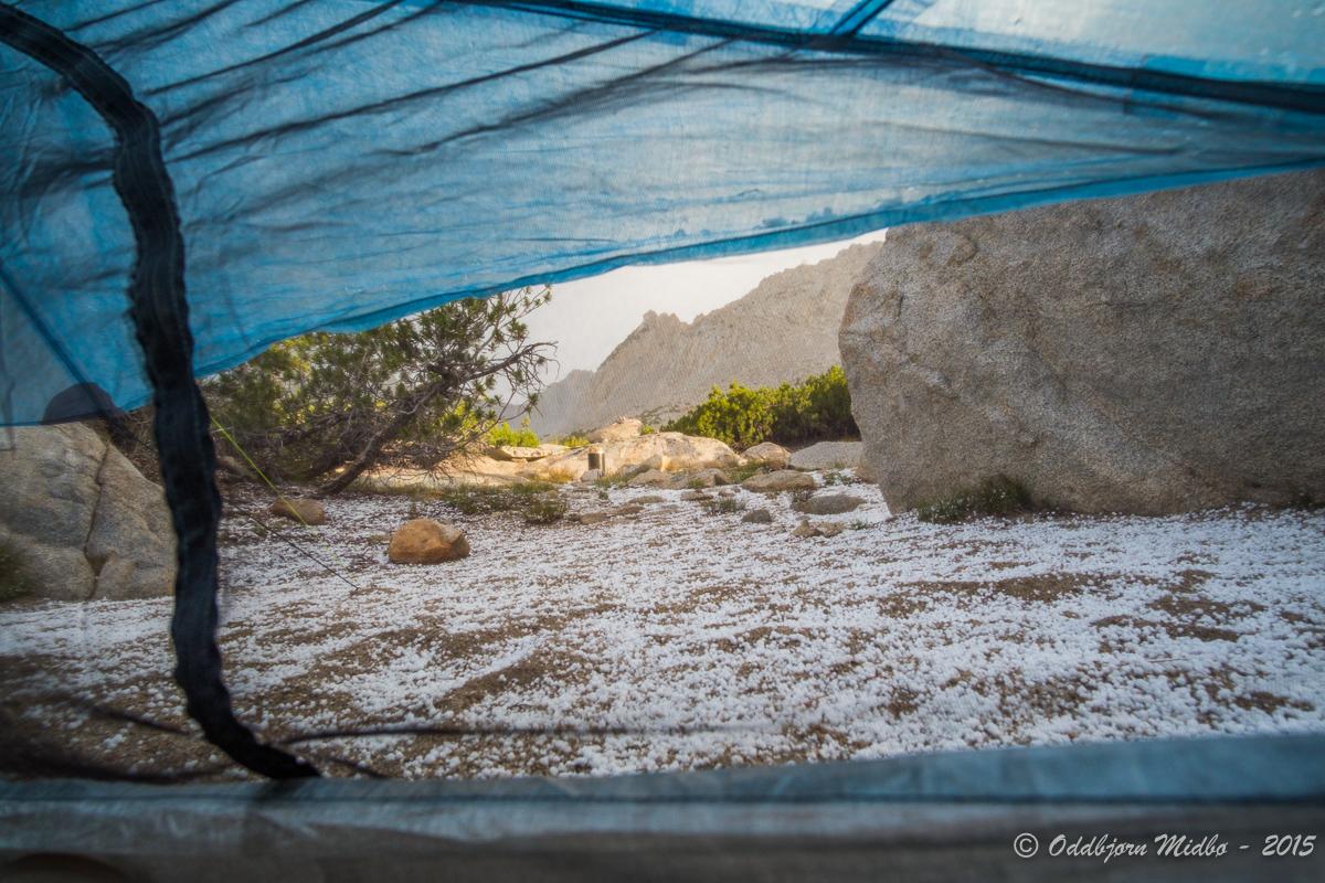 Dag11-5950.jpg.47839f9417d093fbeb11cad0f