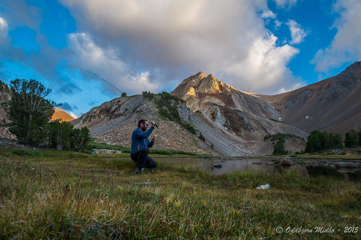 Dag11-6064.jpg.92c60871a31bf432d57c33c19