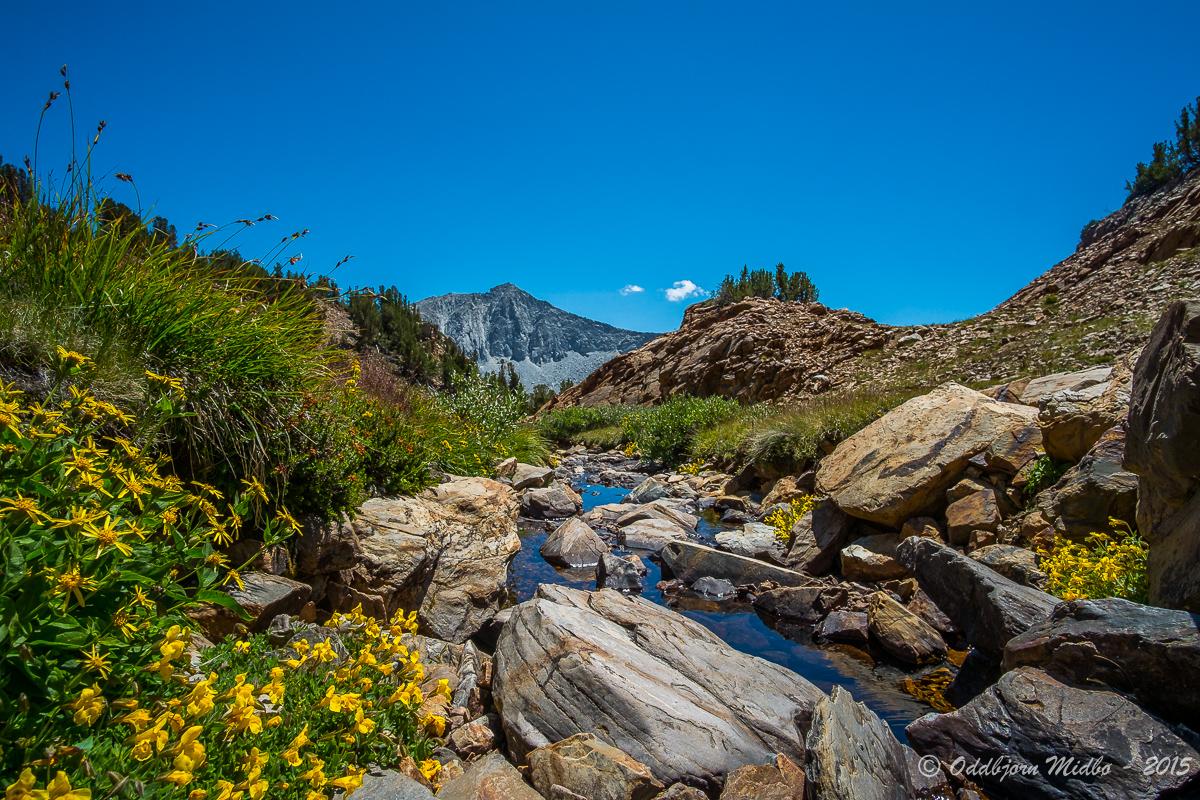 Dag12-6149.jpg.d1e28c19937b5a190bb547069