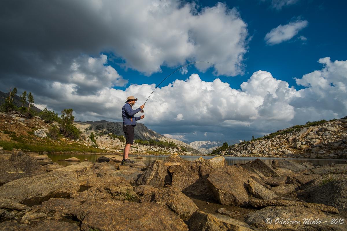 Dag12-6184.jpg.60f74aff26fc1fd2eaf273bba