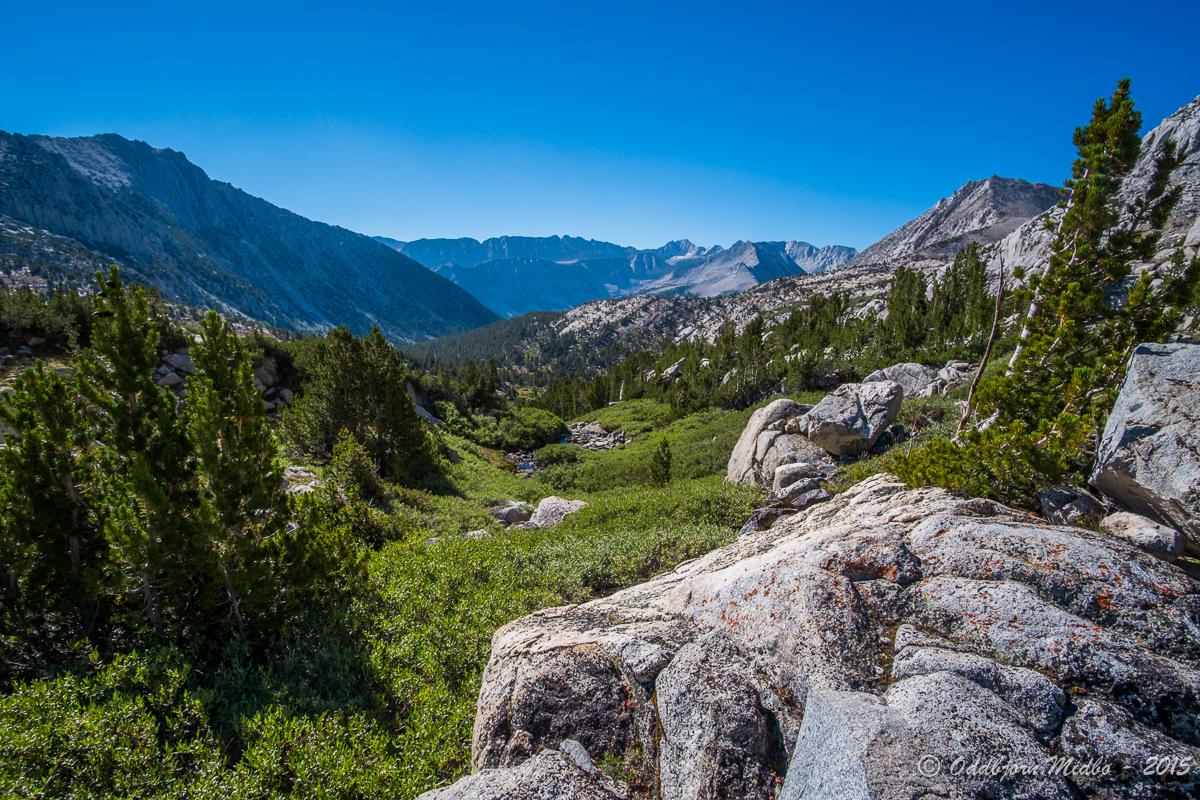 Dag13-6208.jpg.7ea77b966fb3d728a545ffb7b