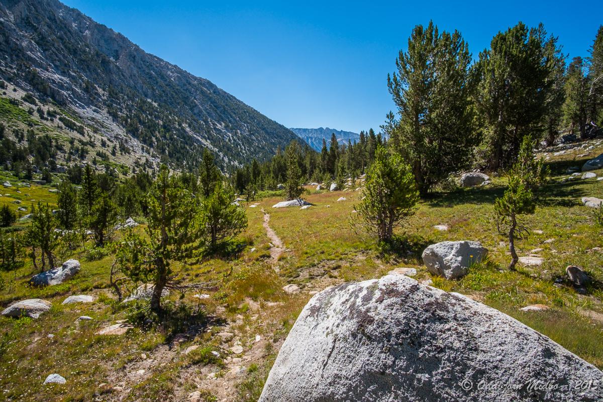 Dag13-6216.jpg.c98179b3a3b979fb8eaa5bc21