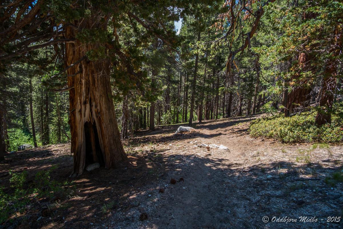 Dag13-6227.jpg.478bd847b21026206c117323d