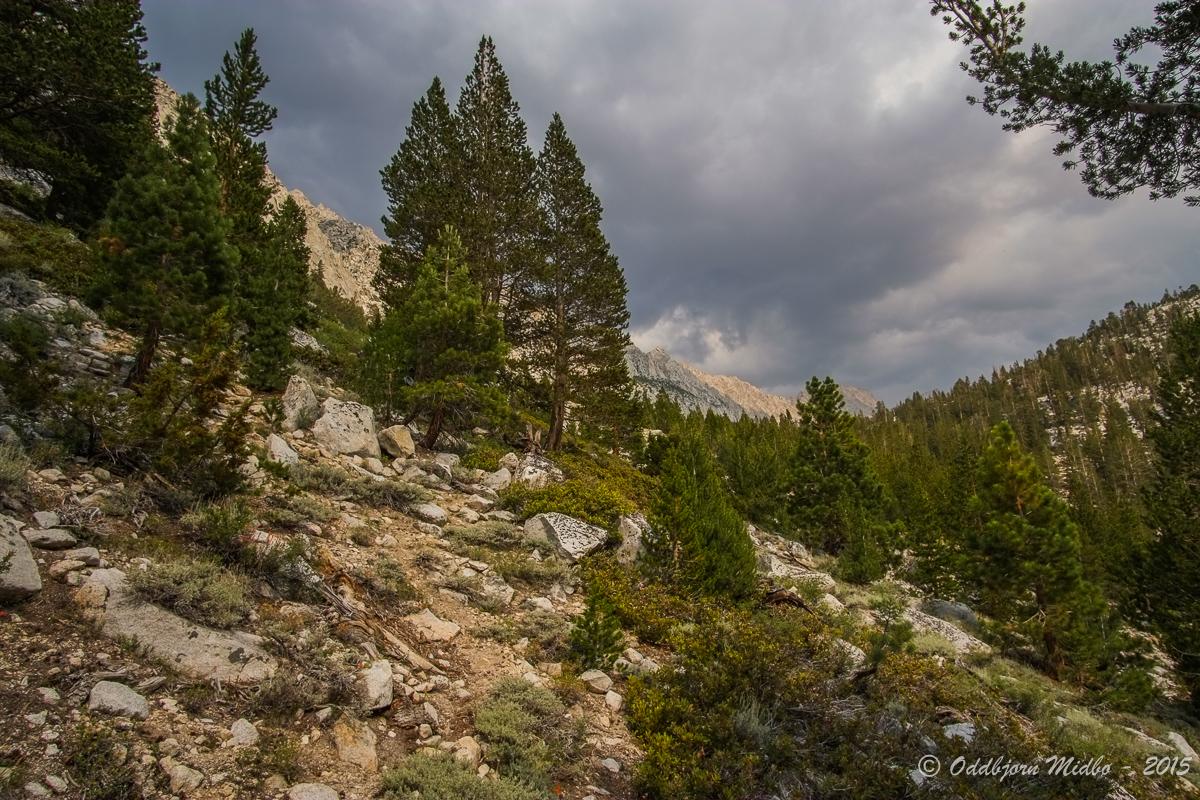 Dag13-6252.jpg.5975c661d0f184c23f4ca9928