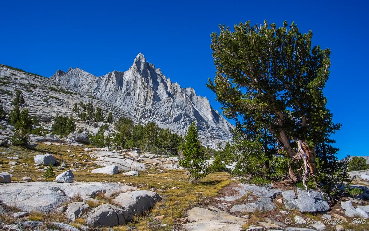 Dag15-6488.jpg.a4b3fc5cd772345e613dbd6e7