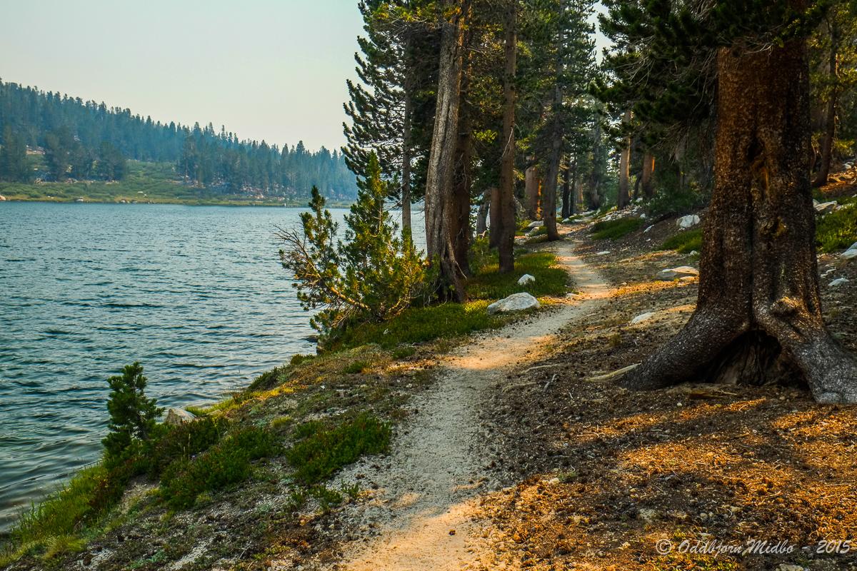 Dag15-6571.jpg.46fb90cddad84def7465a84fc