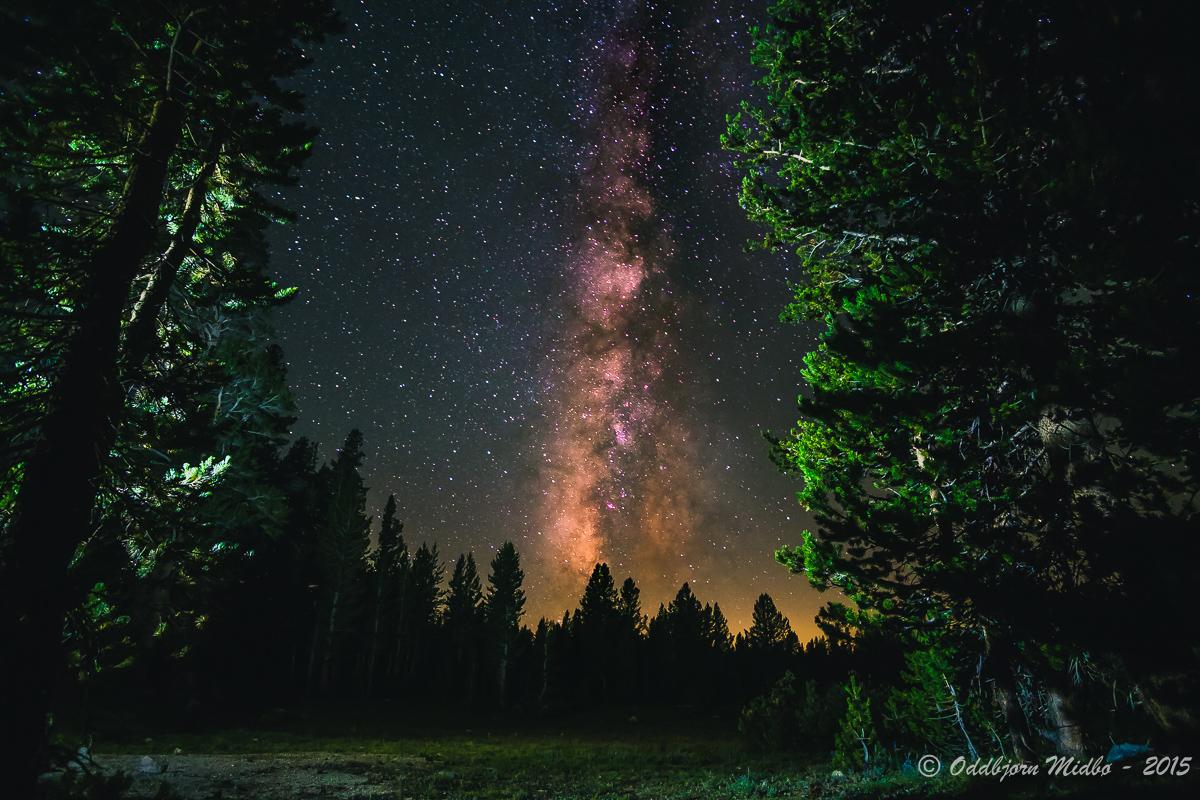 Dag15-6584.jpg.3687f22afd75bf34f0f3eb263