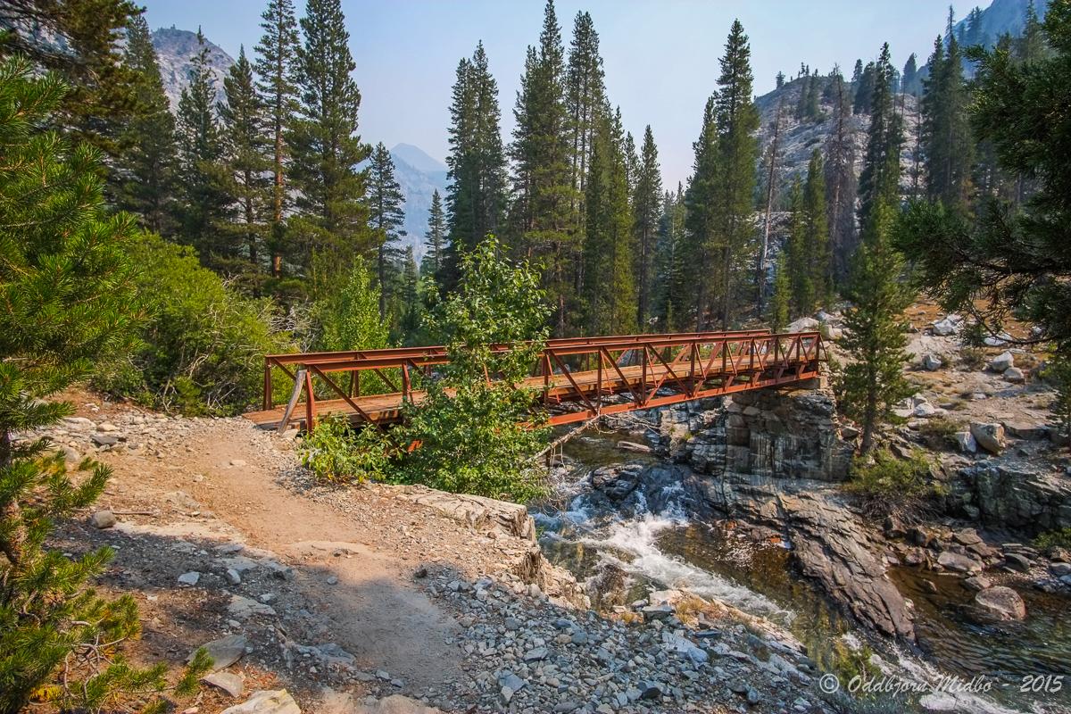 Dag16-6659.jpg.27e2b0d548176675cbbce0788