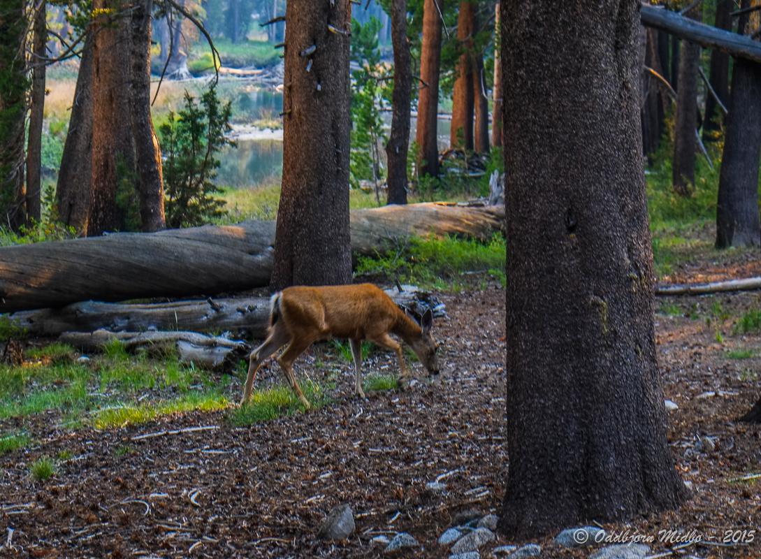 Dag16-6690.jpg.bebbcdf7f5fb95c2ff0e2fd43