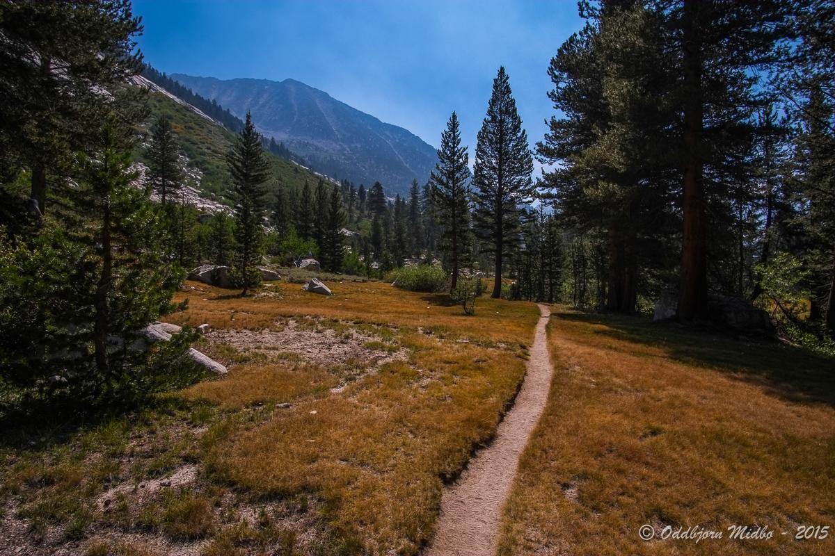 Dag18-6878.jpg.4999cdca8e95333cc1409a6ef