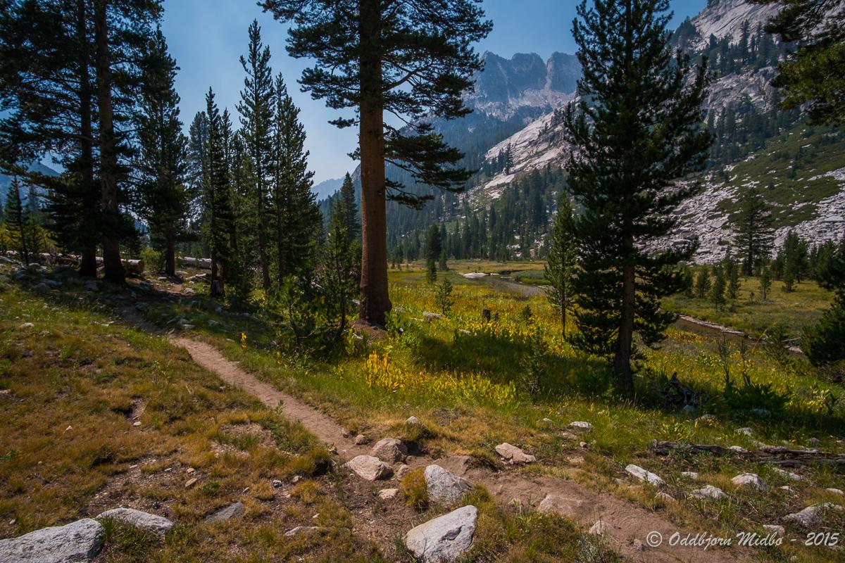 Dag18-6886.jpg.78e0154b1d2eef872de56de14