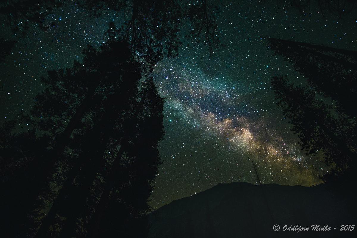 Dag18-6965.jpg.79d4d1f51d34f07a091cca912