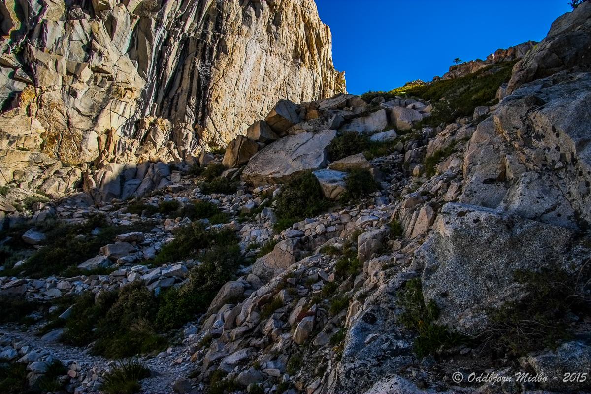 Dag19-6989.jpg.c5d29c9fd5333d1c96995ccfd