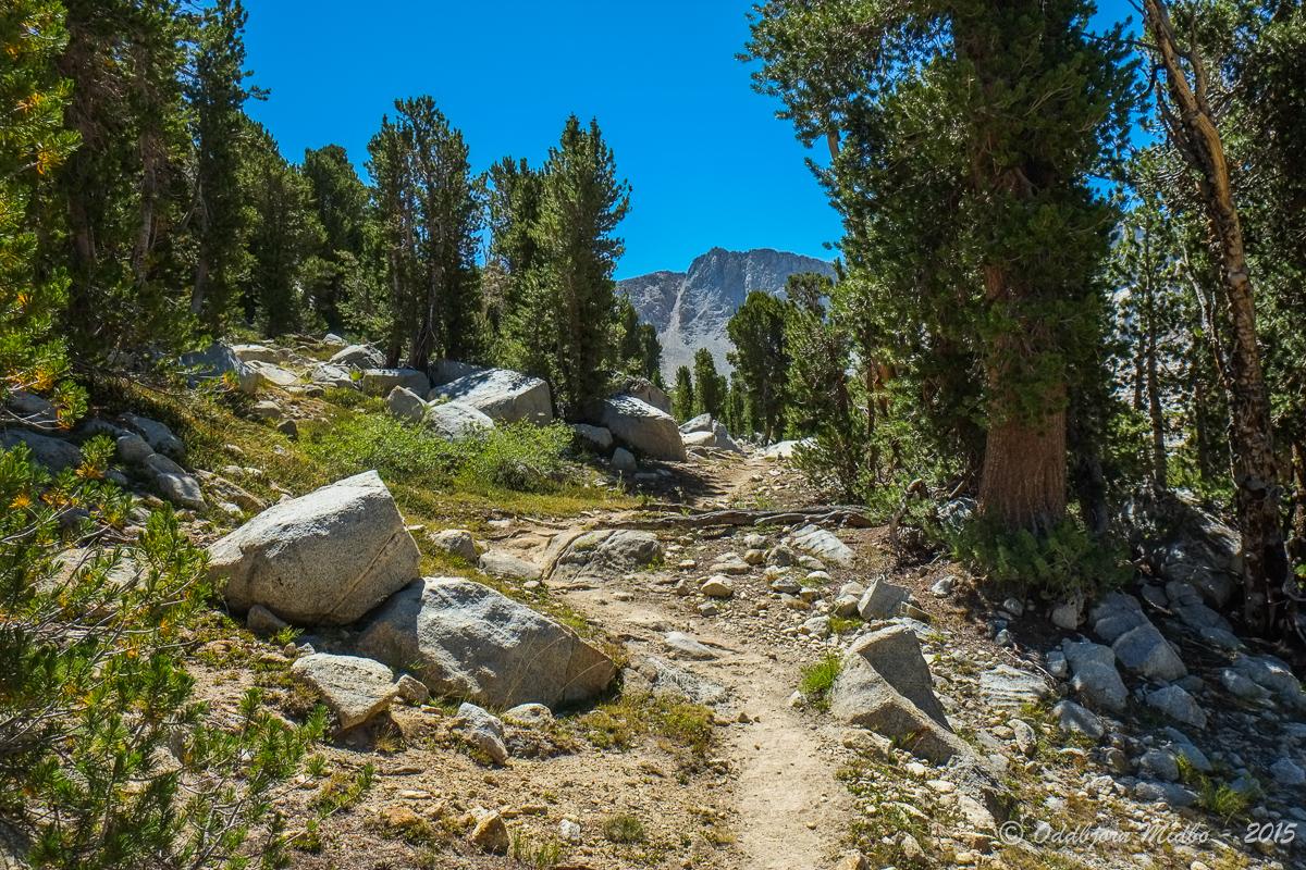 Dag19-7070.jpg.8c3c666b3cdabfccfbf1db9a9