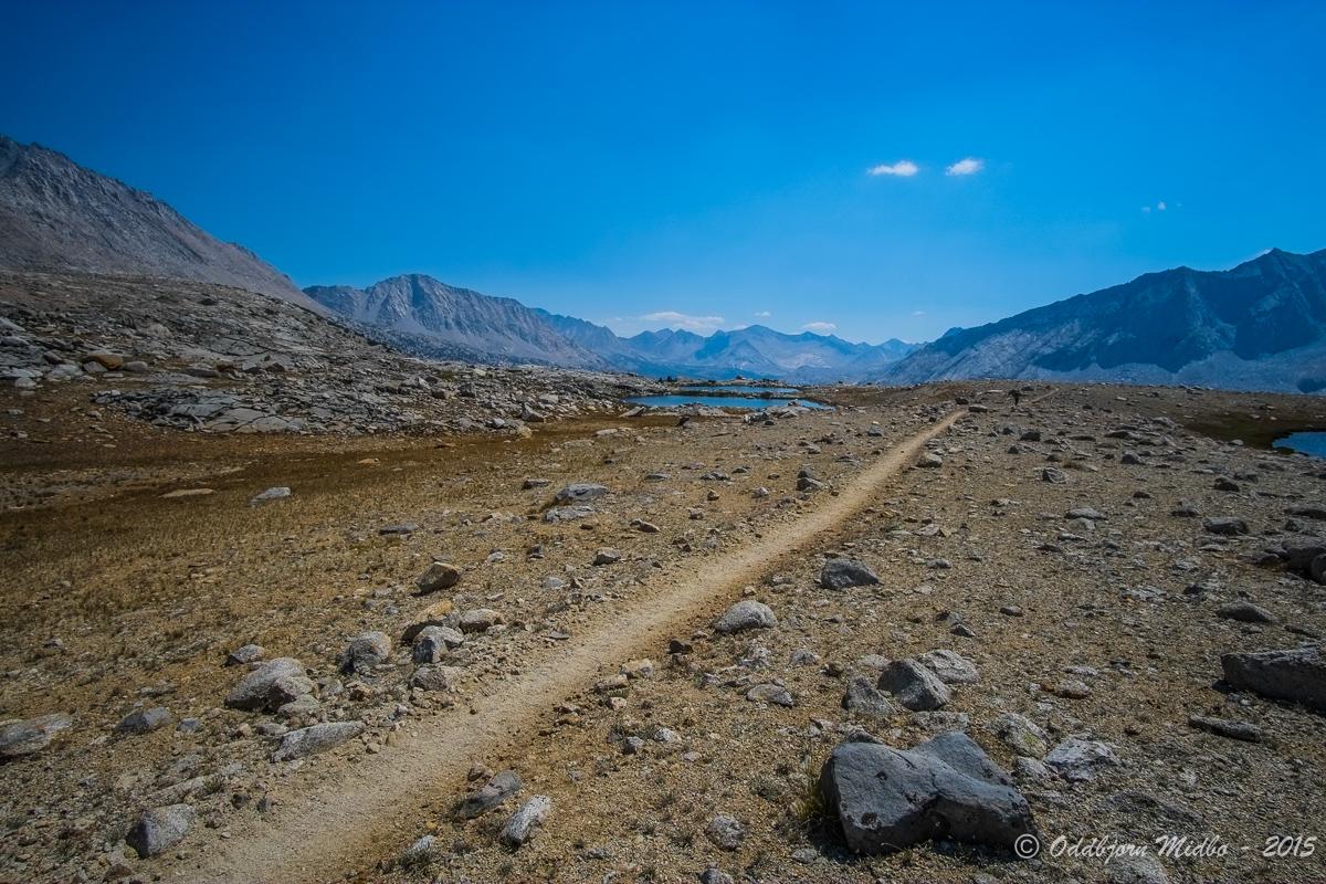 Dag19-7118.jpg.7f2a821635cc0b721adef6afe