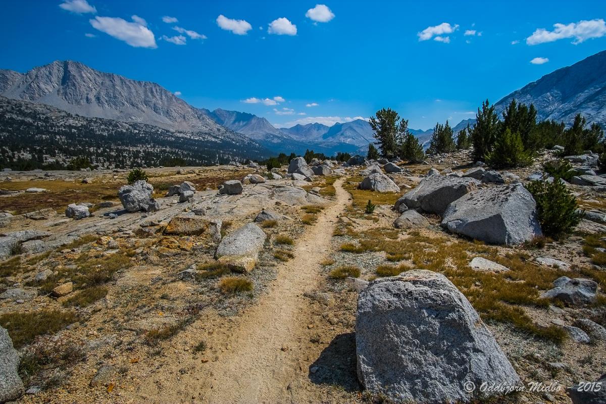 Dag19-7122.jpg.6bee2ad7725af6ccfdcbbab4b