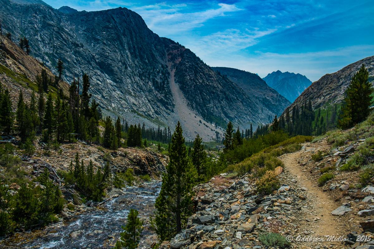 Dag20-7256.jpg.f0c335e31d926bb7b7571ca62