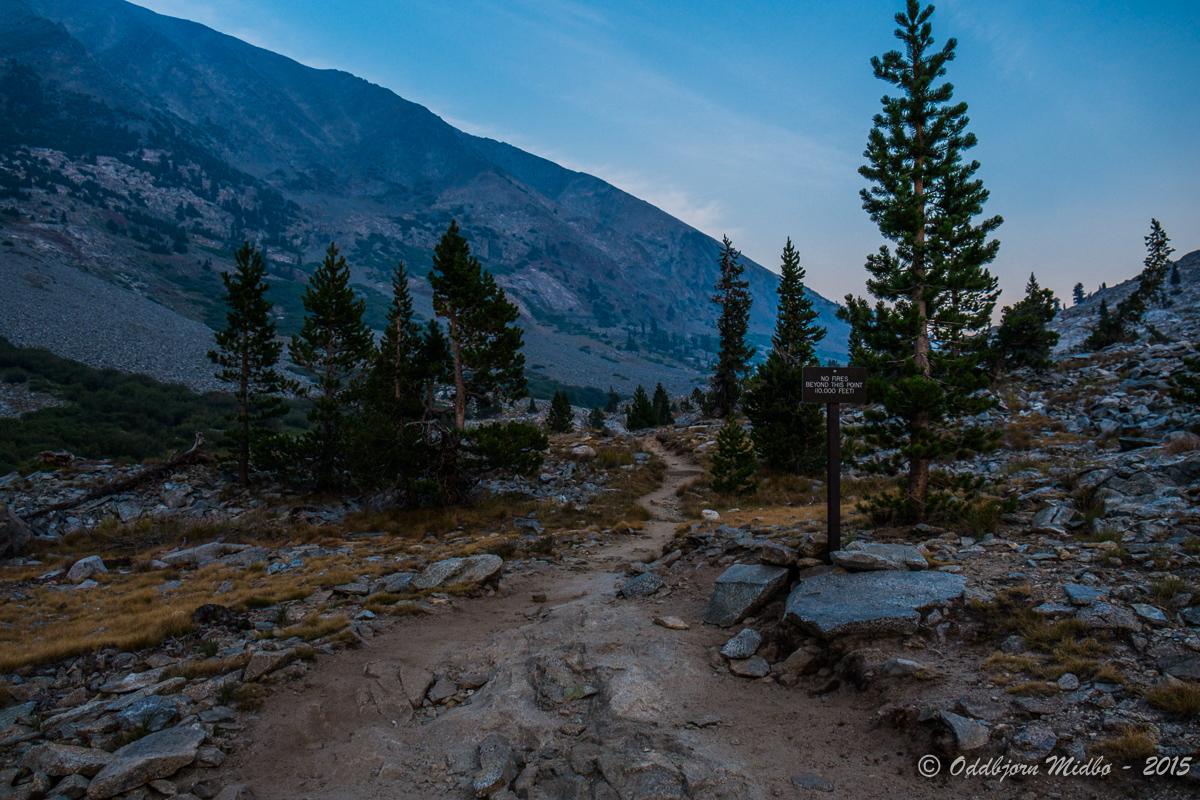 Dag20-7299.jpg.ce9df634897fec1ab94c4bc12