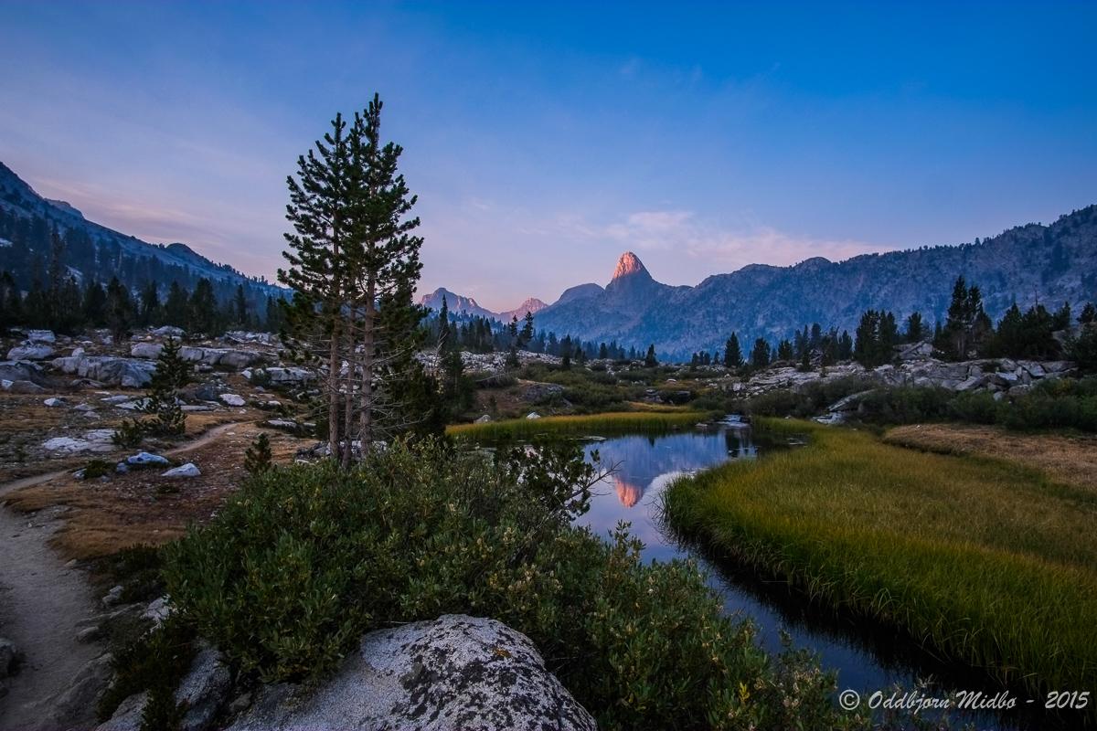 Dag21-7322.jpg.7e6403f548ea2d00c3500a1c0