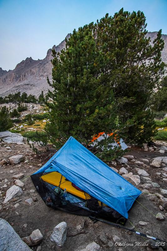 Dag21-7530.jpg.ee24997e09f5c8a74fc2df86a