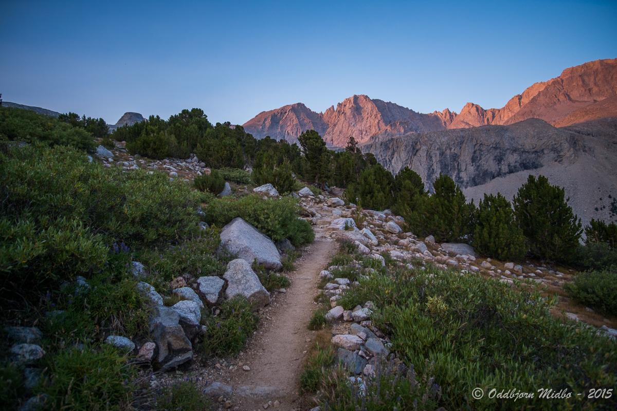 Dag22-7535.jpg.18b44231a25541534702aa2e0