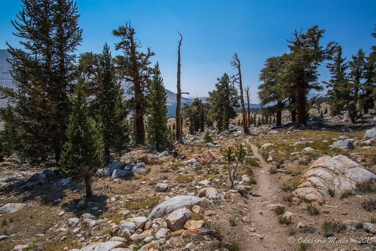 Dag22-7668.jpg.69024168ef901b0da83afed30