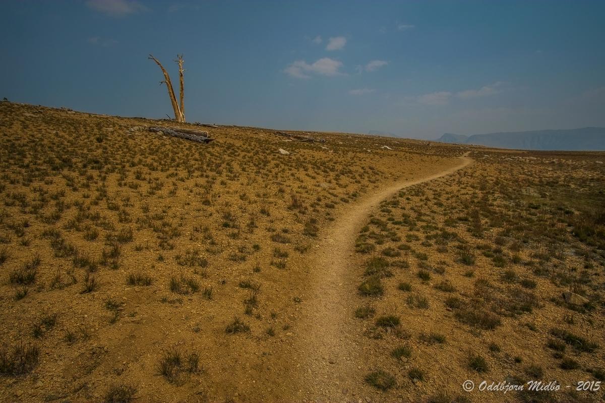 Dag22-7724.jpg.be66f577d1c8cbcf7d809eb19