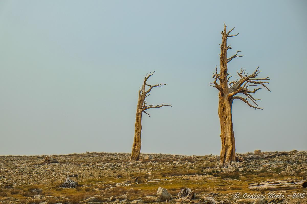 Dag22-7742.jpg.bc8af3b455fe77d05d2b4454e